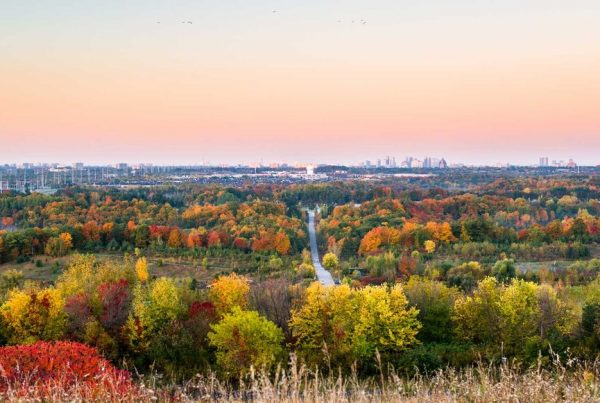 Ready-to-camp - Biome Canada